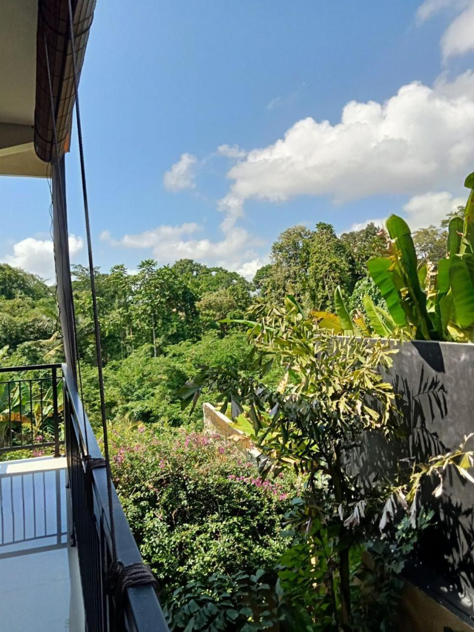 Lavista Guesthouse Ubud Zewnętrze zdjęcie
