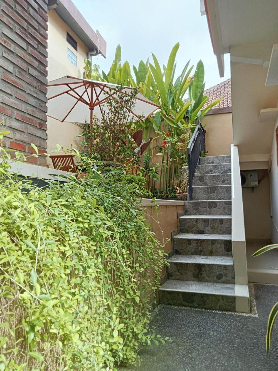Lavista Guesthouse Ubud Zewnętrze zdjęcie